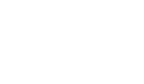 ANMETSS