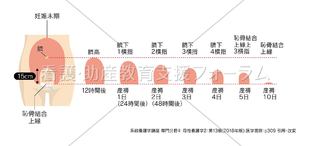 コンテンツ一覧 看護 助産教育支援フォーラム