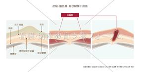 コンテンツ一覧 看護 助産教育支援フォーラム