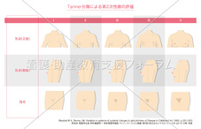 Tanner(タナー分類)による乳房、陰毛の発育段階