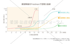 フリードマン 曲線