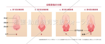 コンテンツ一覧 看護 助産教育支援フォーラム