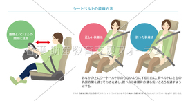 シートベルトの着用方法