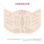 外陰部消毒(クリーム塗布）の手順