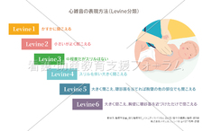 心雑音の表現方法（Levine分類）