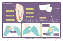 足底からの採血