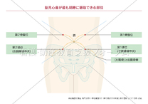 規模 嫌い 九月 胎児心音 聴取部位 聴診器 Blog Rousse Com