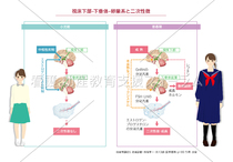 コンテンツ一覧｜看護・助産教育支援フォーラム